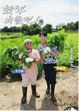 农夫电影网综艺条目手作夜话封面